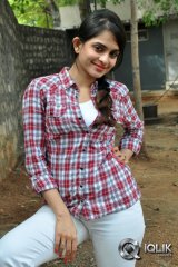 Sheena Shahabadi at Nuvve Naa Bangaram Press Meet